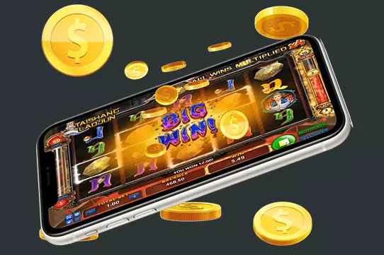 qq8866